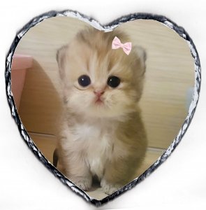 Fényképes Gránitkő - 18x18 - Szív