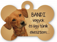 Saját fényképes kutyabiléta