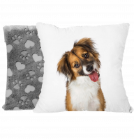 Fényképes Párna - 40x40 - Tappancs mintás (Bézs)