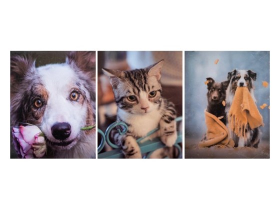 Gedeon MM46200 Adore 200/10*15