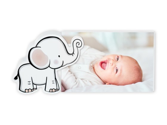 ZEP VG3146 Ulisse 10X15